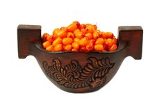 Sea-buckthorn Berries Royalty Free Stock Image Sea-buckthorn Berries Royalty Free Stock Image