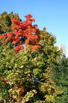 Autumn City Landscape Stock Photo Autumn City Landscape Stock Photo