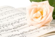 The Rose On Notes Stock Photo The Rose On Notes Stock Photo