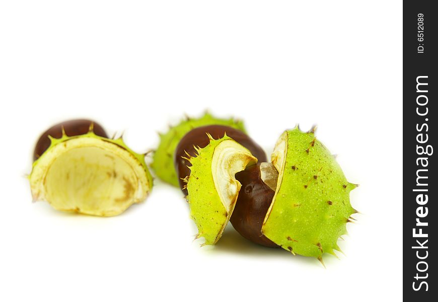 Chestnut very close garden fruit