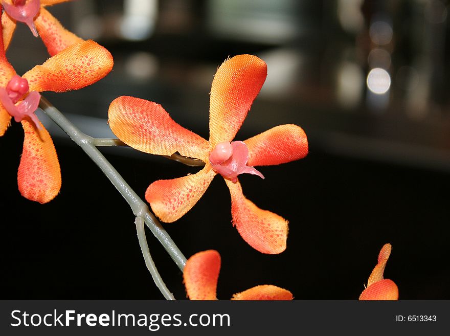 Orange plastic flowers on dark background