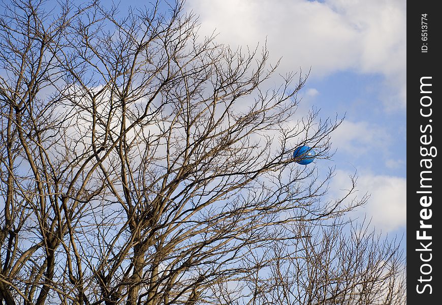 Blue balloon in a tree against a blue sky with clouds.