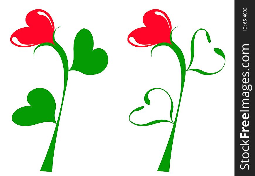 Illustration of the decorative tulip. Illustration of the decorative tulip