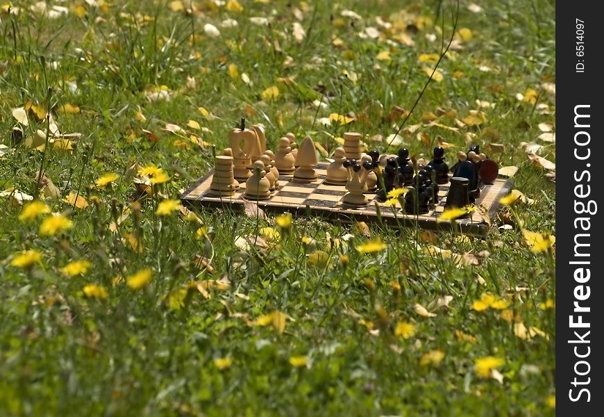 View on a wooden chessboard in on the lawn.