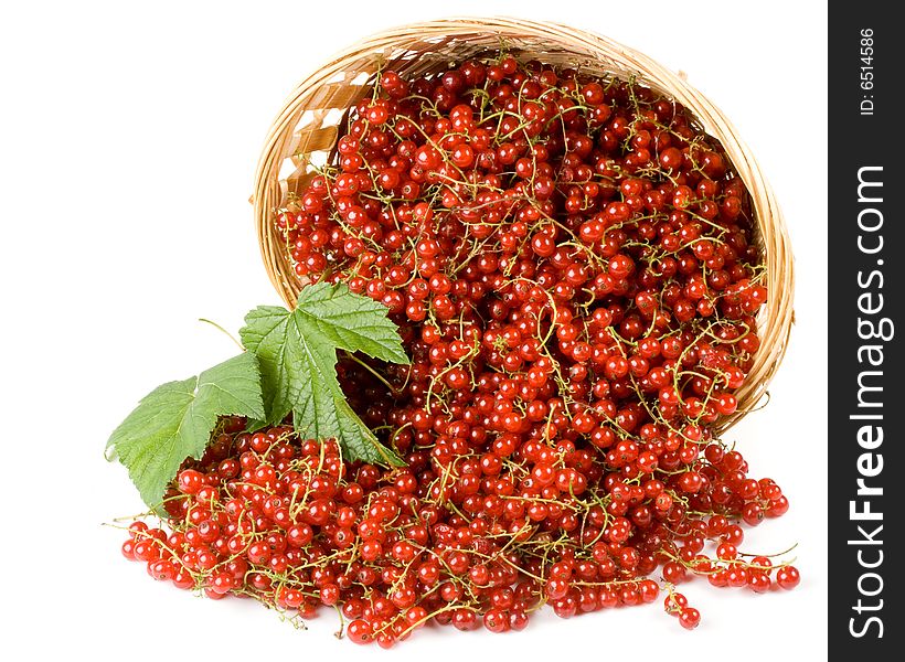 Fresh red currant in a basket on a white background