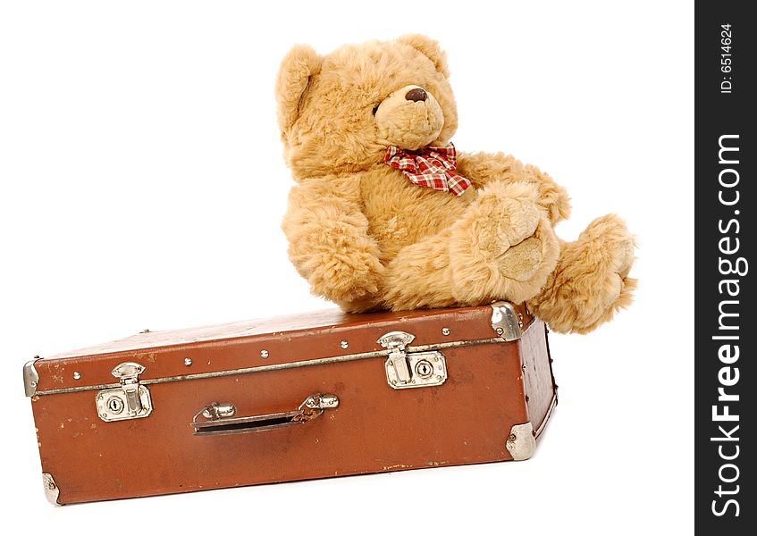 Bear & suitcase on a white background