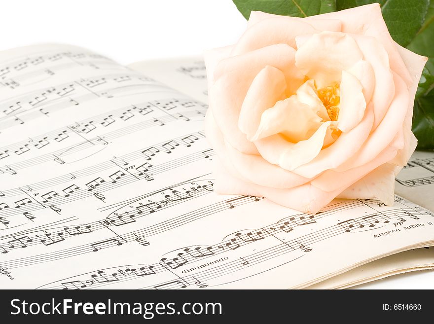 The rose laying on a musical notes on a white background. The rose laying on a musical notes on a white background