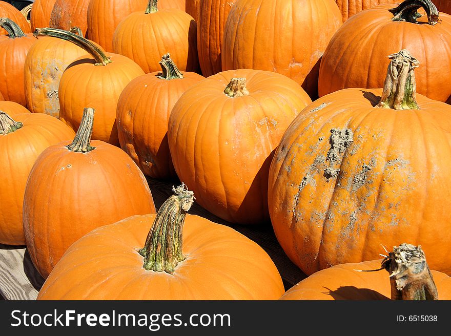 Pumpkins at a roadside farm stand