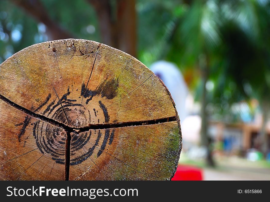 Tree Trunk Chair