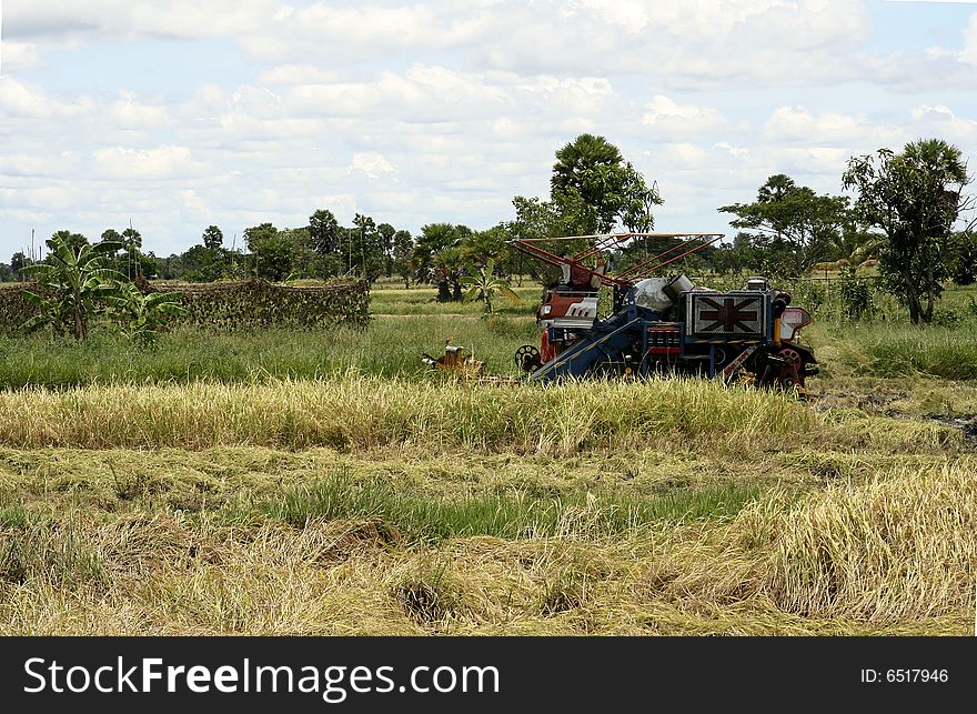 A farm machinery in the rice paddy field. A farm machinery in the rice paddy field.