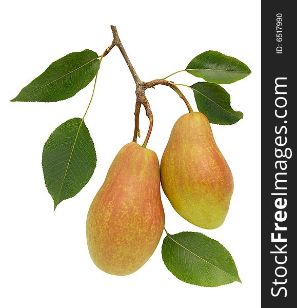 Two Pears