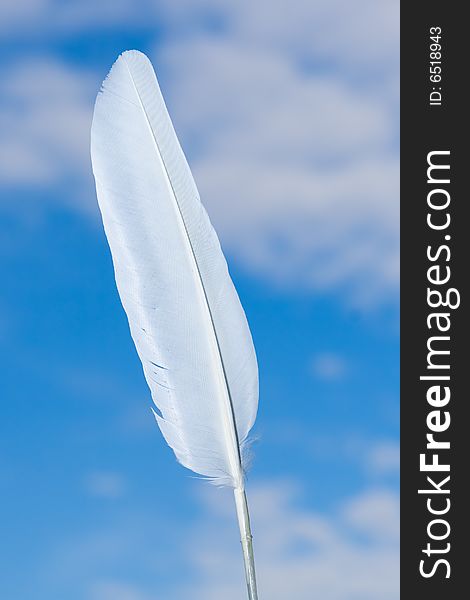 White feather on a background of the blue sky with clouds. White feather on a background of the blue sky with clouds