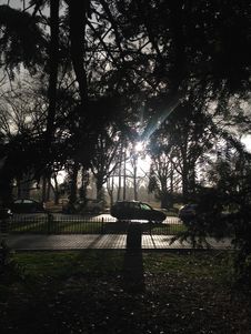 Park With Dark Cloudy Sky During Rain In Winter. Stock Image Park With Dark Cloudy Sky During Rain In Winter. Stock Image