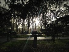 Park With Dark Cloudy Sky During Rain In Winter. Royalty Free Stock Image Park With Dark Cloudy Sky During Rain In Winter. Royalty Free Stock Image