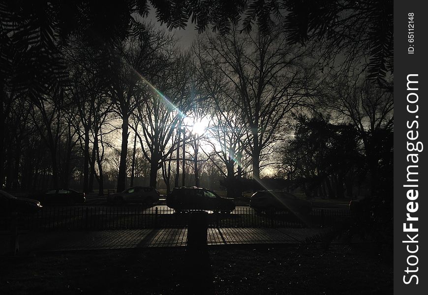 Park With Dark Cloudy Sky During Rain In Winter.