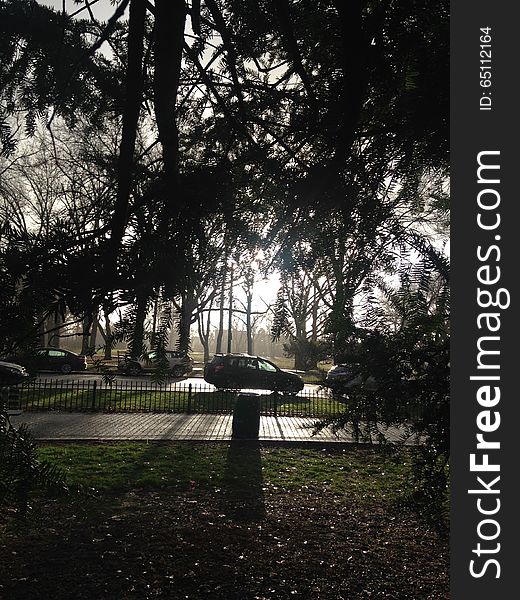 Park With Dark Cloudy Sky During Rain In Winter.