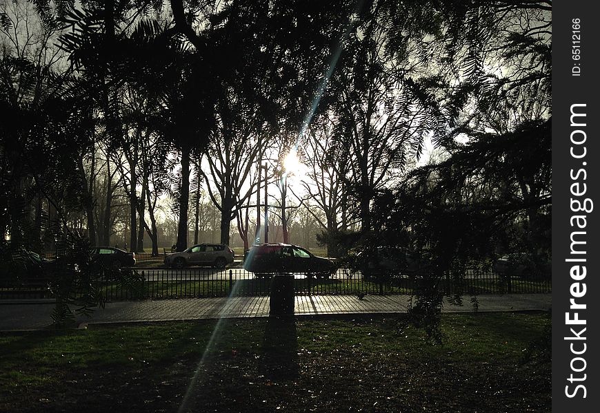 Park with Dark Cloudy Sky during Rain in Winter.