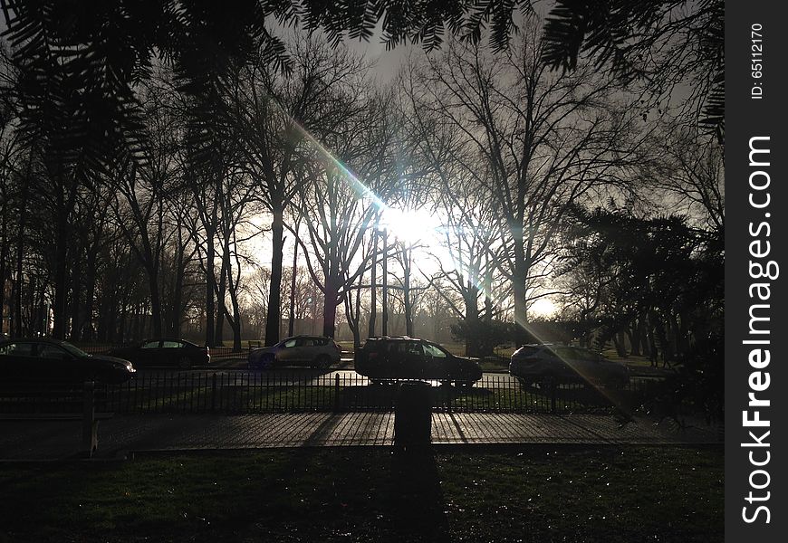 Park with Dark Cloudy Sky during Rain in Winter.