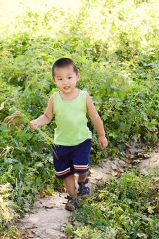 Baby Playing In Country Stock Photography Baby Playing In Country Stock Photography