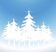 White Christmas Trees Royalty Free Stock Image White Christmas Trees Royalty Free Stock Image
