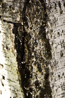 Free Structure Stock Photos - 6524133