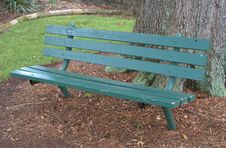 Bench In A City Park At Summer Under A Tree. Stock Image