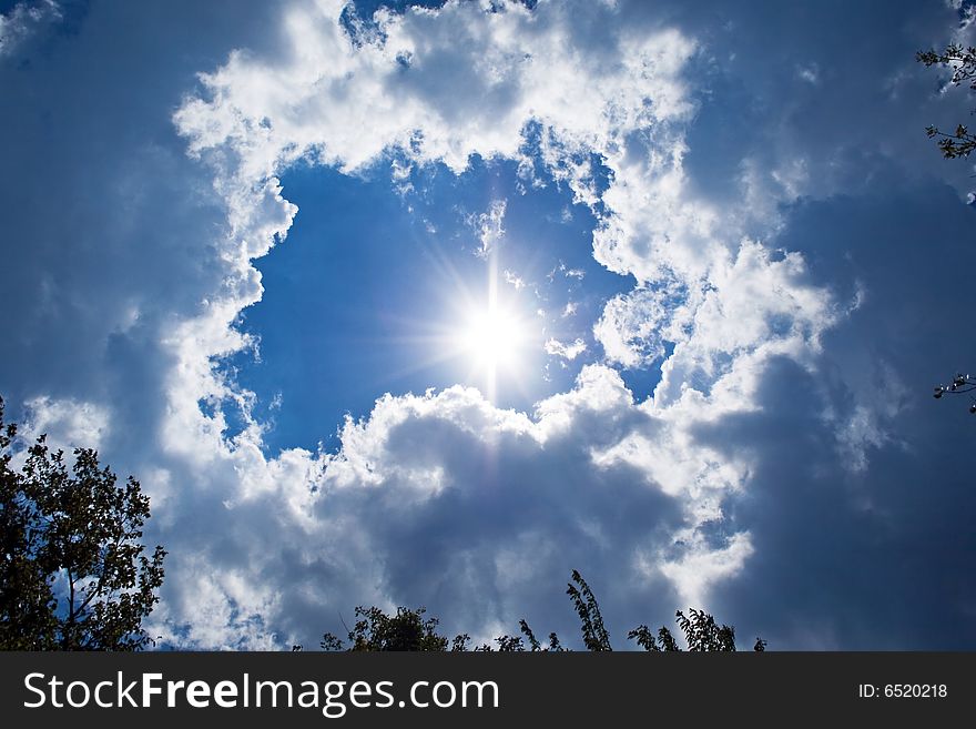 Sky background. sun, clouds and trees background