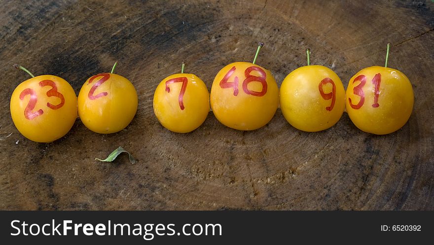 Line of yellow plums like lottery winning balls on wood surface