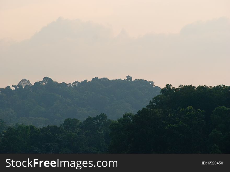 Tree covered tropical mountain range seen at dusk