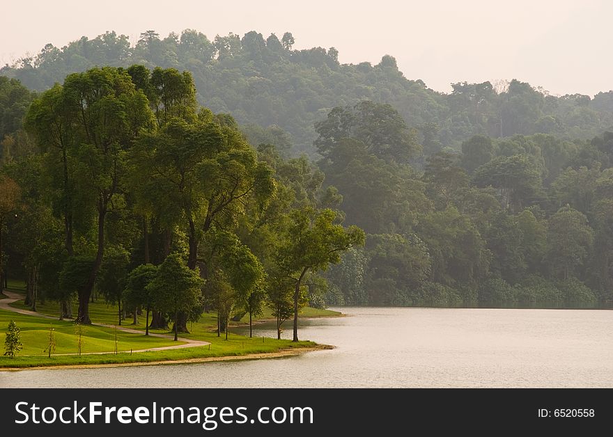 Shoreline of a lake in a public park