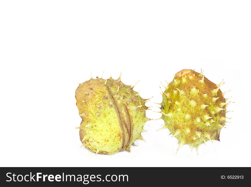 Two chestnuts on white background