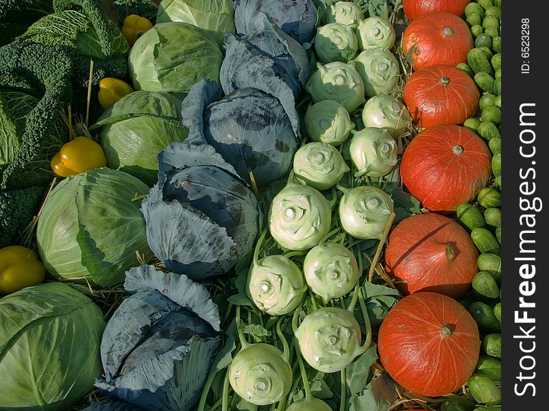 The rich crop of vegetables was collected by peasants this year