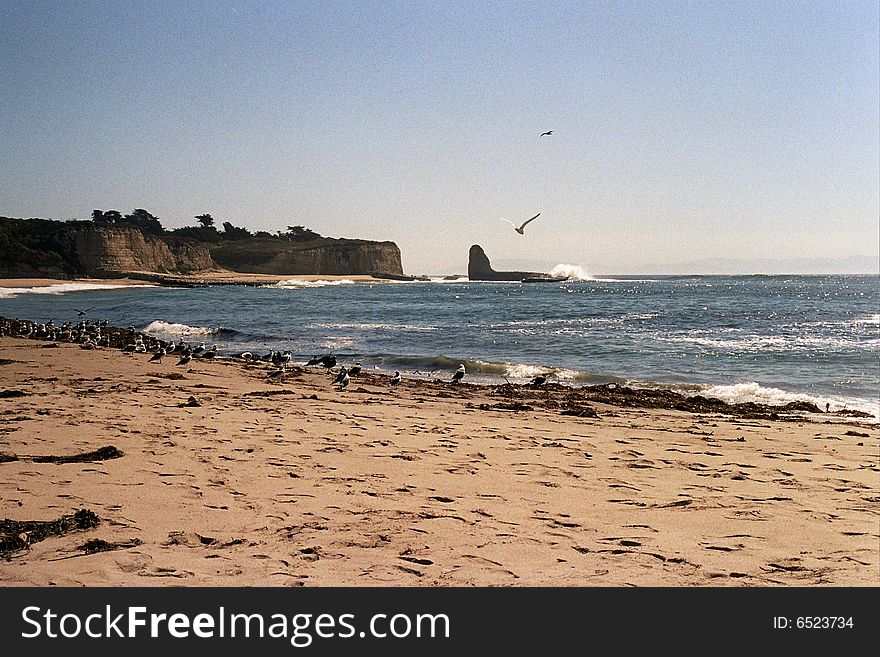 Scenic beach shot looking down the coast with cliffs and birds. Scenic beach shot looking down the coast with cliffs and birds