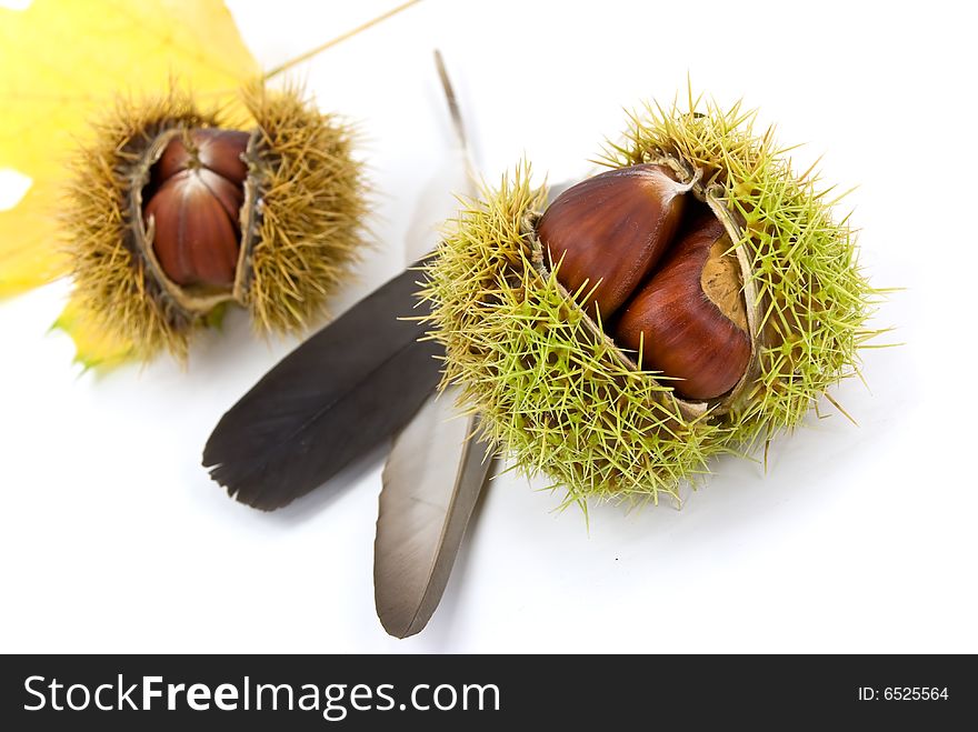 Edible, Ripe Chestnuts - Isolated On White Backgro