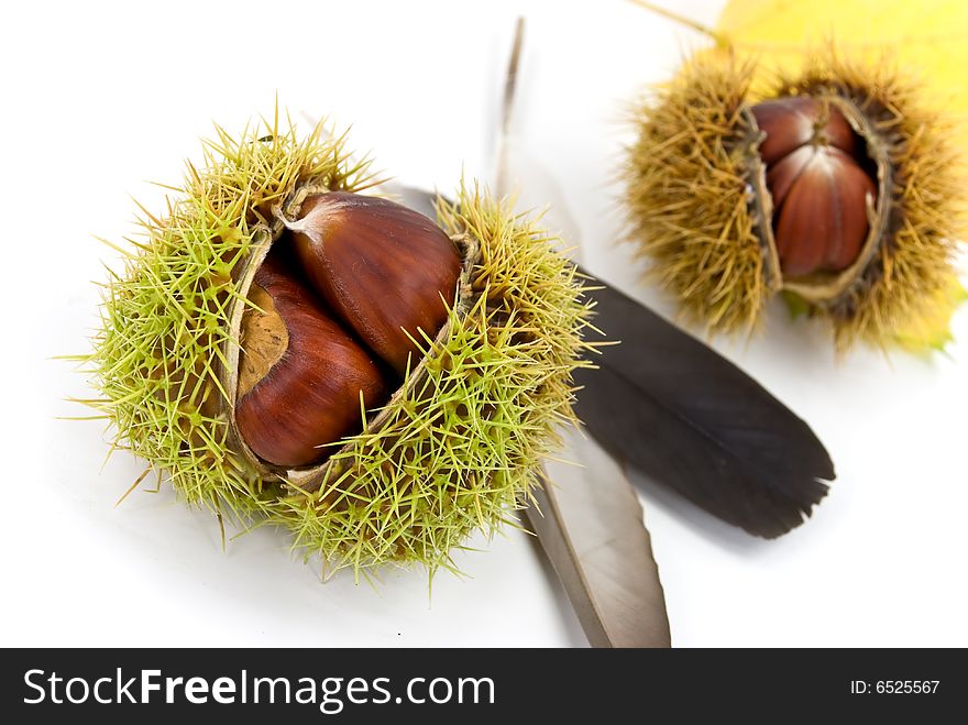 Edible, Ripe Chestnuts - Isolated On White Backgro