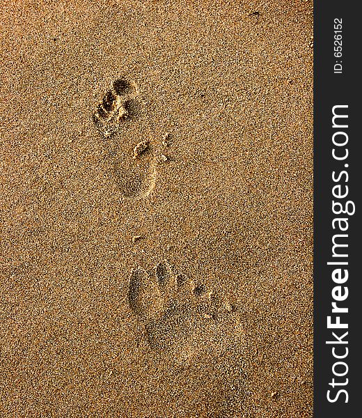 Footprints on the sand of a beach. Footprints on the sand of a beach