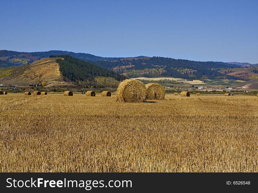 Grain field in the autumn with mountains in the background. Grain field in the autumn with mountains in the background