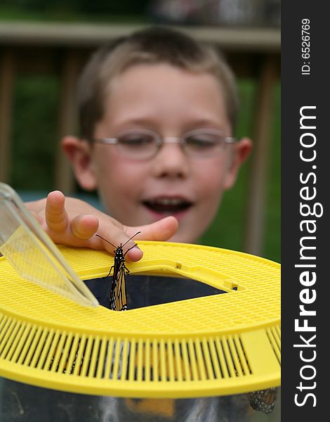 Shallow dof, boy with butterfly on his finger. Shallow dof, boy with butterfly on his finger