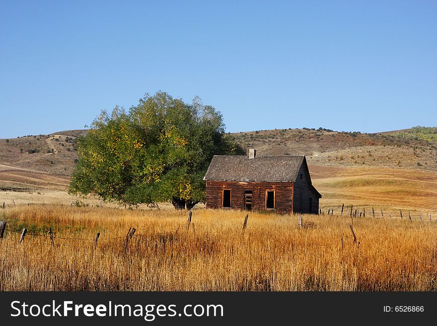 Deserted Farm with wheat grass and blue skys. Deserted Farm with wheat grass and blue skys