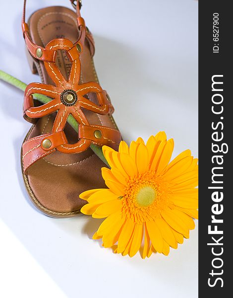 Shoe with yellow flower. Best Picture for posters. Simbol of young life. Shoe with yellow flower. Best Picture for posters. Simbol of young life.