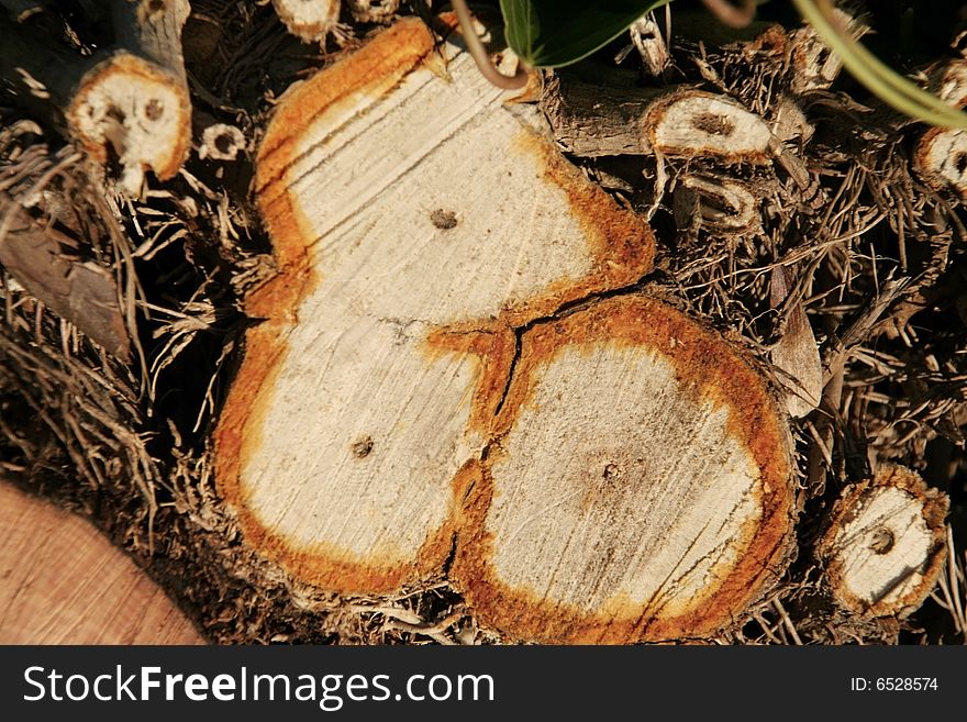 Close up of logs for background