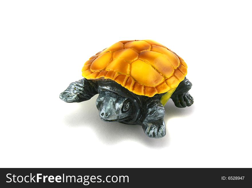 Bright turtle on a white background