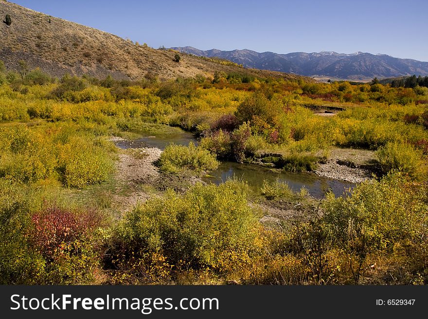 Mountain Meadow showing all fall colors. Mountain Meadow showing all fall colors