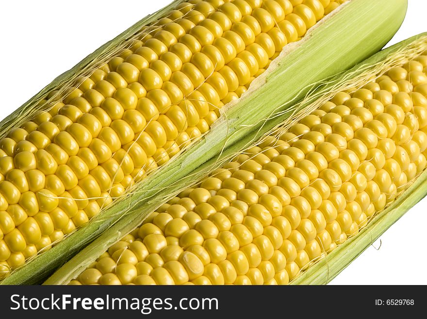 Two close corn cobs on a white background. Two close corn cobs on a white background