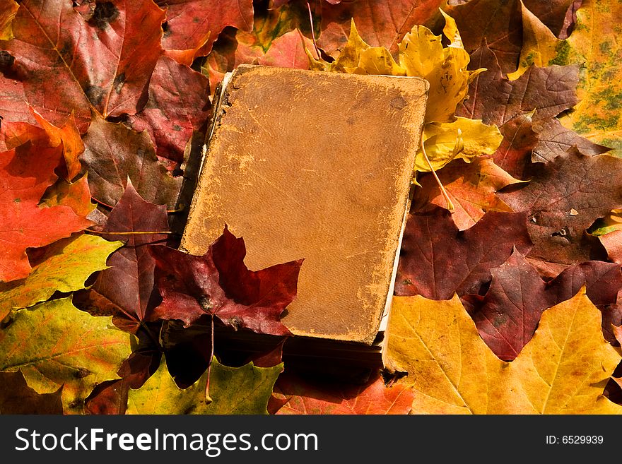An old closed book on a background of a colored maple leafs. An old closed book on a background of a colored maple leafs