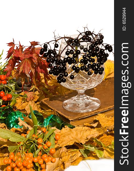Book and glass at an autumn surrounding. Book and glass at an autumn surrounding