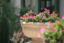 Flower-bed Stock Photo Flower-bed Stock Photo