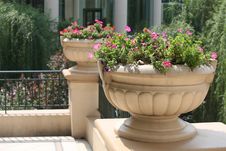 Flower-bed Royalty Free Stock Images Flower-bed Royalty Free Stock Images