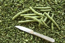 Green Bush Beans On Bed Of Bean Ends Stock Photos