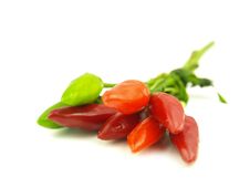 Chili Pepper And Hot Red Pepper Very Close Royalty Free Stock Photo